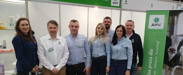 meet our team polska