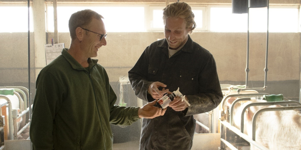 Varkensbedrijf Verstraete