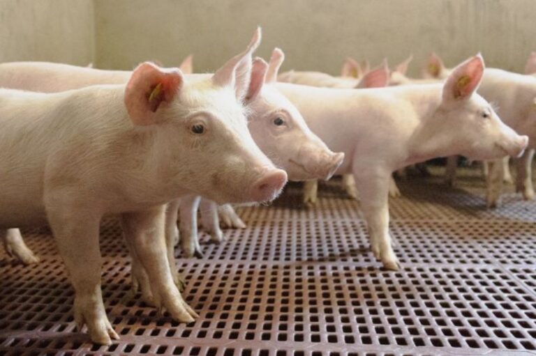 Van-Nuland-Artikel-foto-1