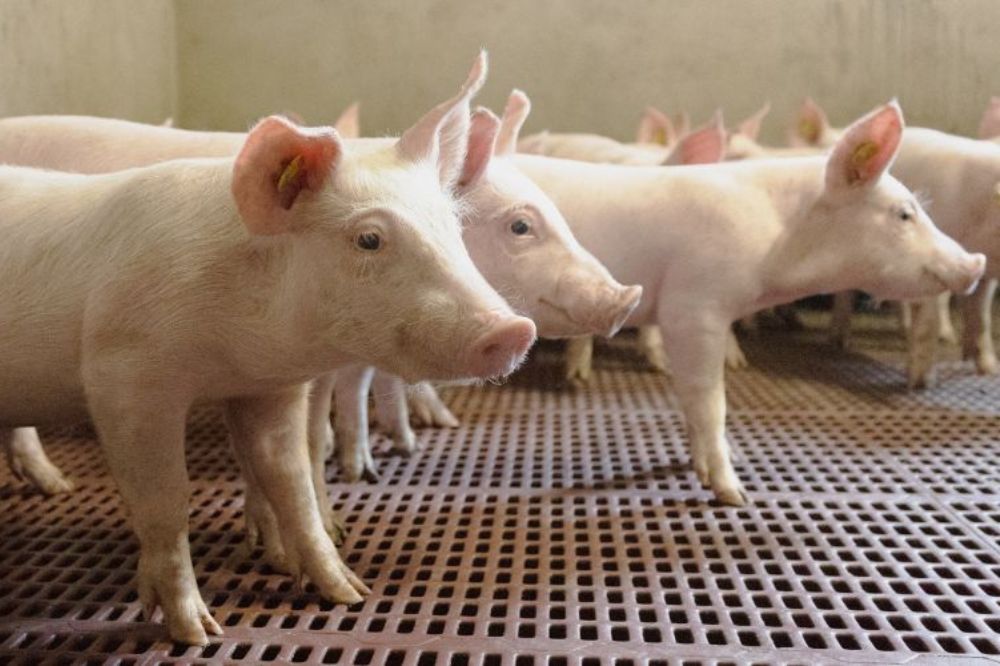 Van-Nuland-Artikel-foto-1