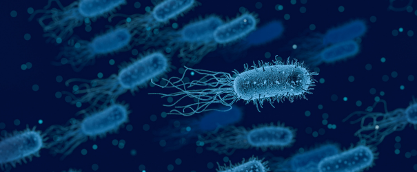 AHV Website Quorum Sensing