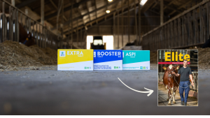 Elite, AHV, Eutergesundheit