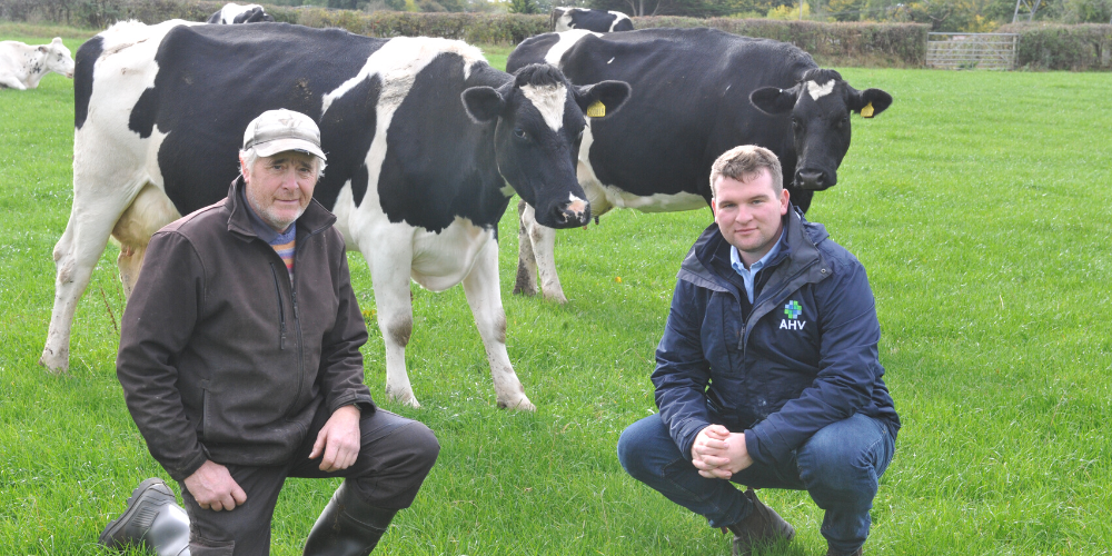 Gareth Hughes testimonial