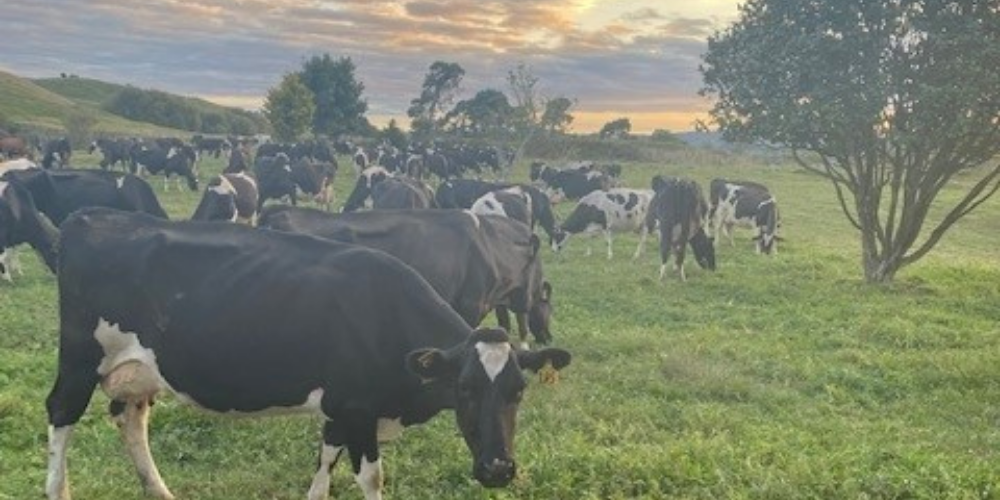 AHV-Article-Heat-Stress