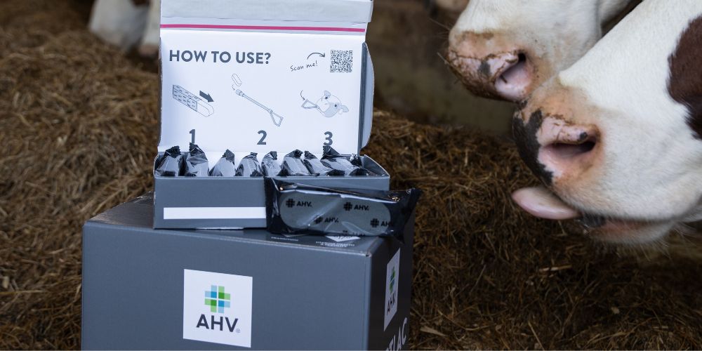 article-calcium-source-phosphorus