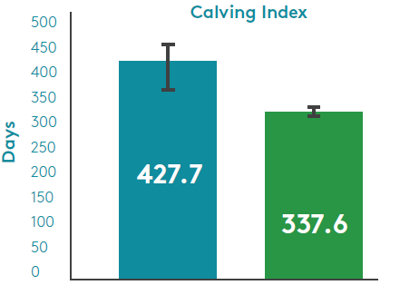 Calving Index data readings, 427.7 days and 337.6 days. Improving Reproductive Efficiency in Late-Calving Cows