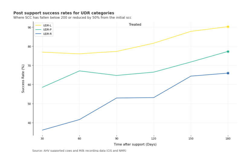Post support success rates for UDR categories