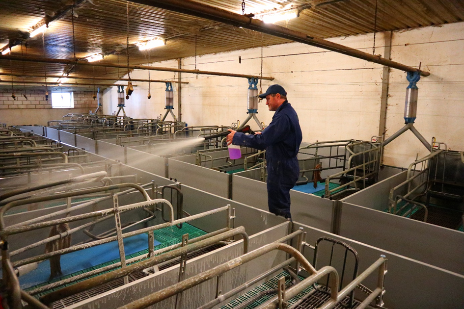 "Prolife-S aplicación"