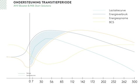 ondersteuning transitie periode