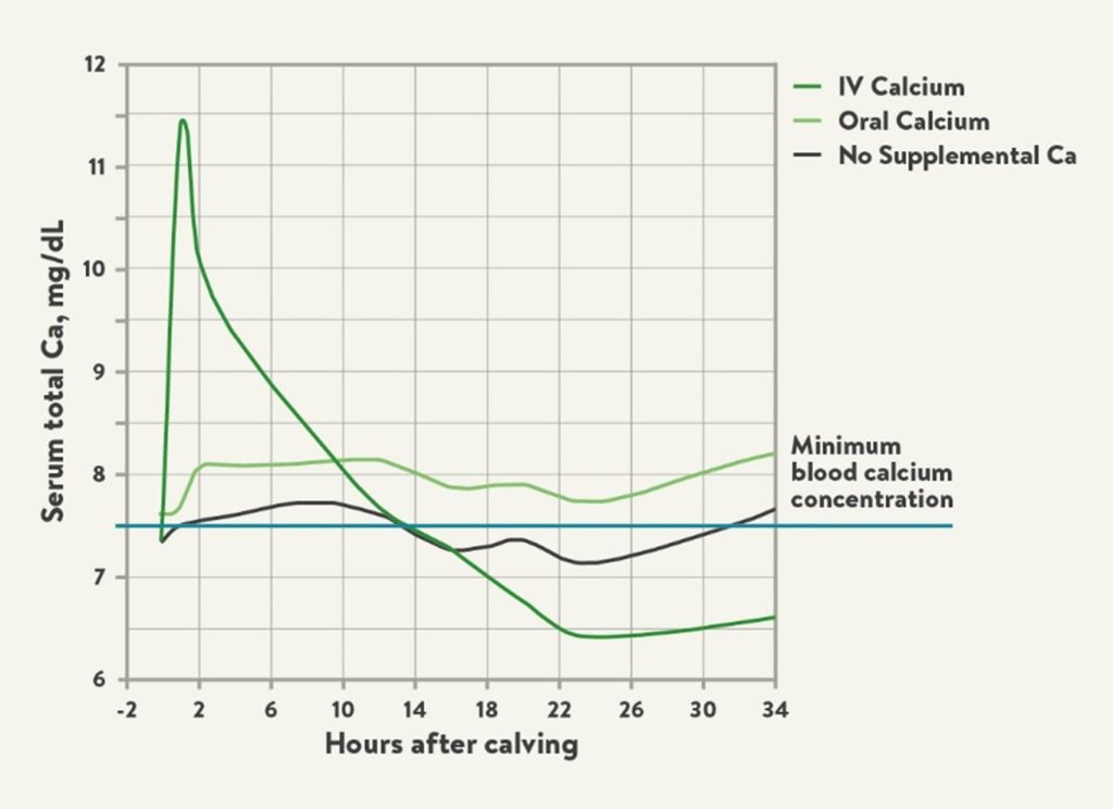 verschil-calcium-infuus-oraal