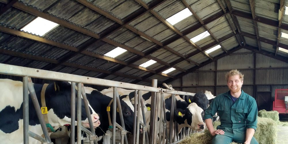 zwakenberg celgetal melkveebedrijf